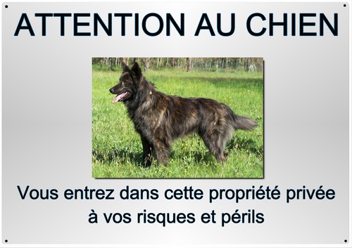 Plaque chien berger hollandais - plaque,