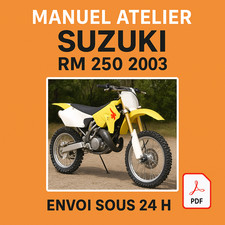 Manuel Atelier Suzuki 250 RM