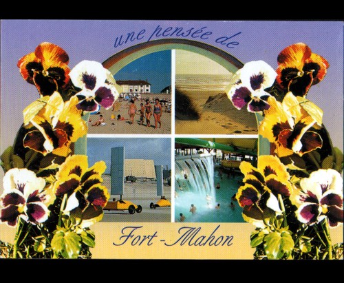 Fort mahon char voile - (80),