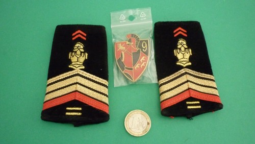 Insigne 9éme regiment genie - ,