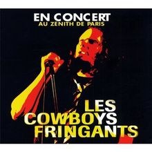 En Concert Au Zénith De Paris