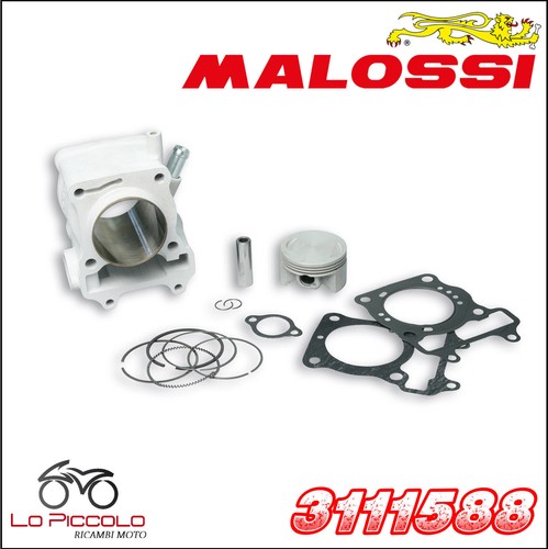 Malossi groupe thermique - malossi,