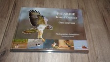 Picardie terre oiseaux - d'oiseaux,