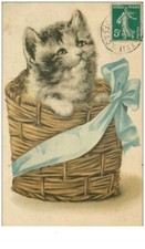 CHATS.n°29186.CHATON DANS UN PANIER