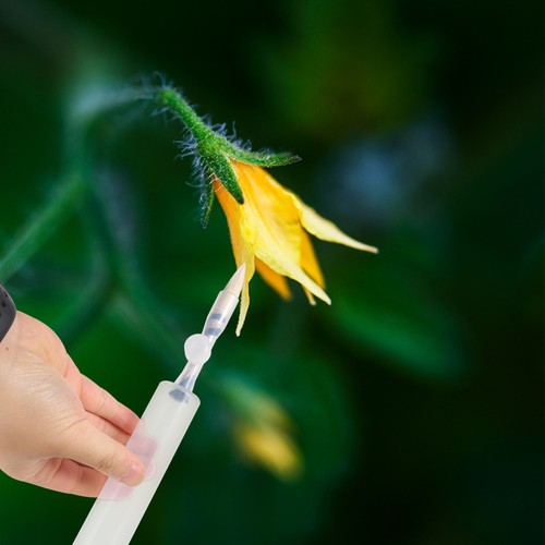 Pointing pen pollinator - pointing,