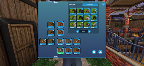 Compte star stable avec - star, 24