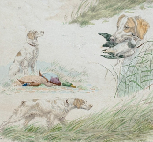 Canard chasse canin - canard, léon