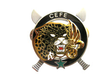 LEGION ETRANGERE 3° REI BREVET MONITEUR COMMANDO FORET CEFE (ETOILE VERTE)