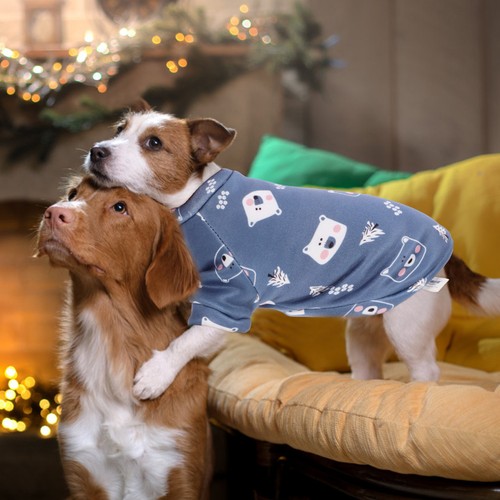 Vetement chien petite taille - chien,