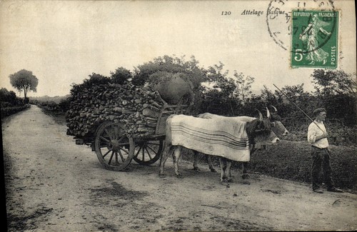 Attelage basque - attelage, —