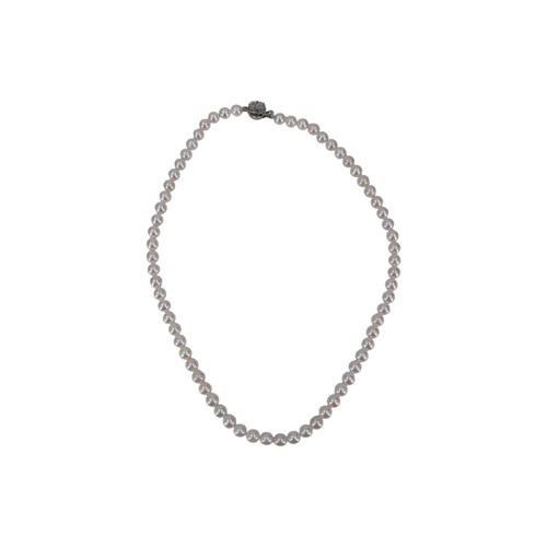 Collier akoya perle - akoya,