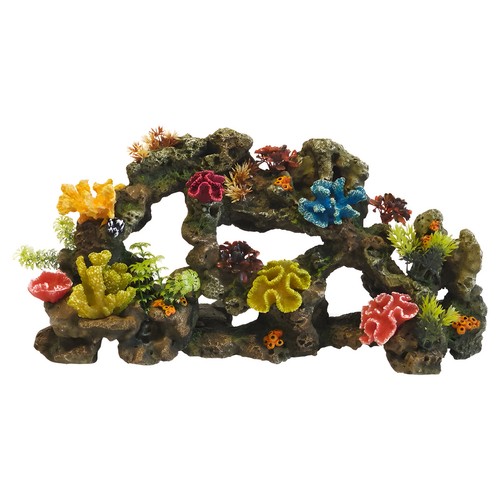 Décoration aquarium nobby - d'aquarium,