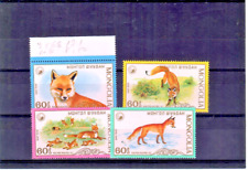 SERIIE RENARD ROUX DE  MONGOLIE