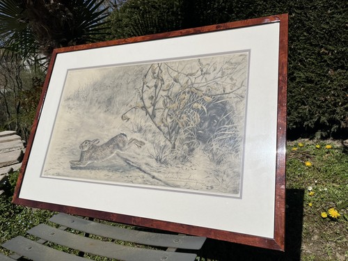 Gravure léon danchin - danchin, lapin