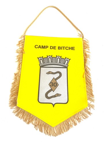 Ancien grand fanion militaire - grand,