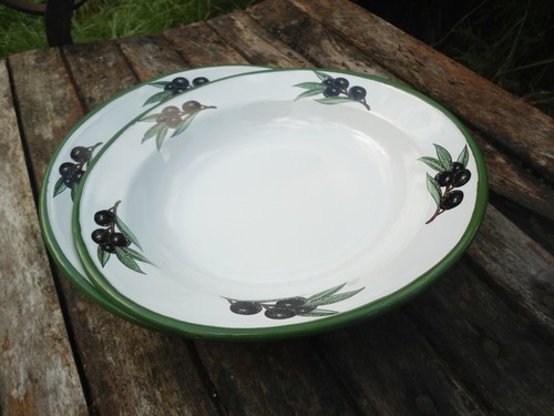 Assiettes emaillees cm - assiettes, 22