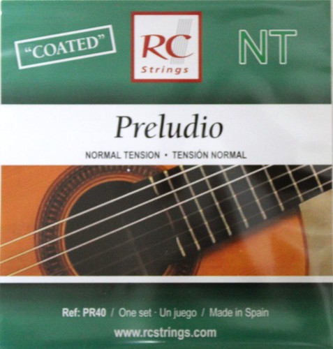guitare royal