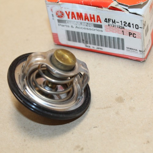 Thermostat eau fjr 1300 - thermostat,