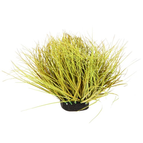 Miniatures herbe modelisme - ,