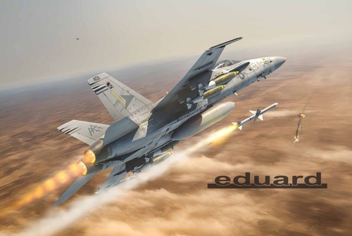 Hornet legacy eduard - 1/48,