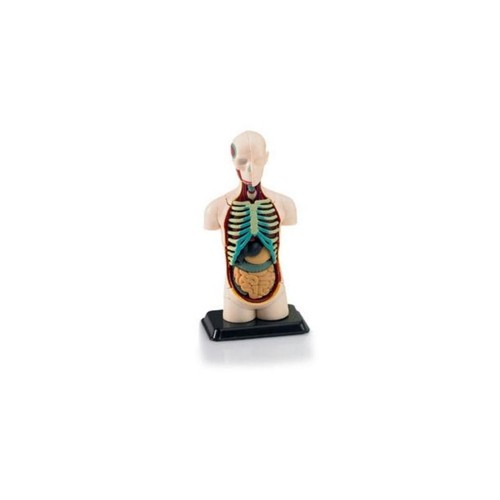 Revell 02100 corps - 02100, humain