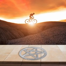 Pignon chaîne en alliage