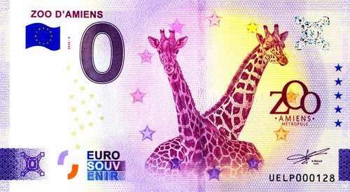 Amiens zoo girafes - 80,