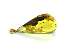 Pendentif Ambre avec Insecte