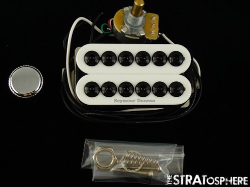 Fender tom delonge strat - tom,