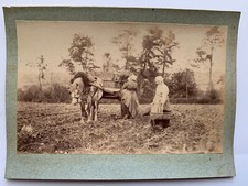 PHOTO ALBUMINE DEUX FEMMES AU