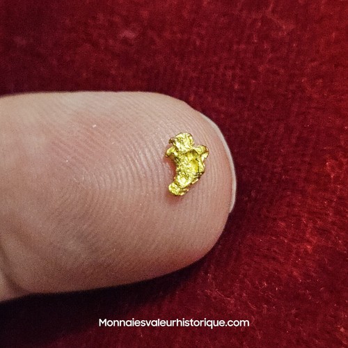Pépite naturelle - d’or,