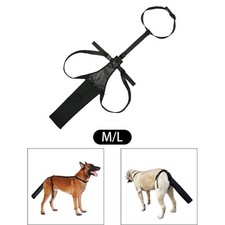 Gardien de chien de protecteur