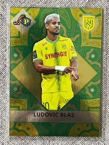 Panini football cards - fc,