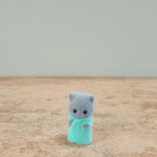 Triplés gris pour - , chat