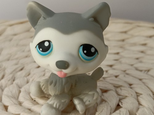Petshop authentic lps - lps, chien