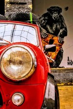 Canvas 30x45 cm - MINI -