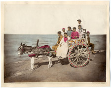 Italie, Sicile, Palerme, Palermo, carro Siciliano  Vintage albumin print  Ti