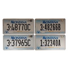 MONTANA (V1) : Plaque immatriculation US 30x15cm plate