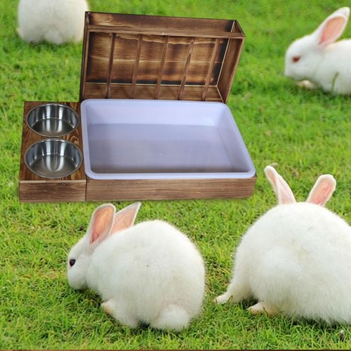 abreuvoir lapin