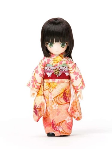 Obitsu 11cm série - 11cm, série『