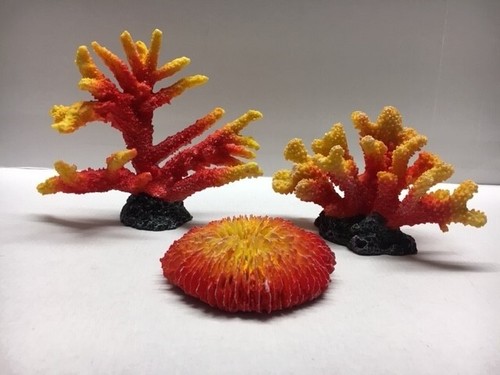 Corail aquarium reef - corail,