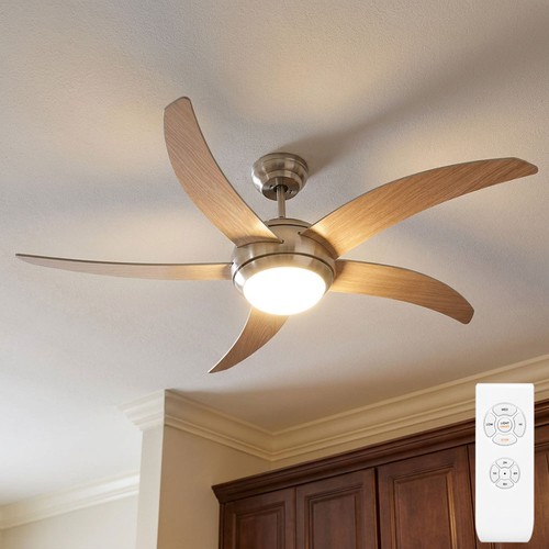 Ventilateur plafond - ventilateur, de