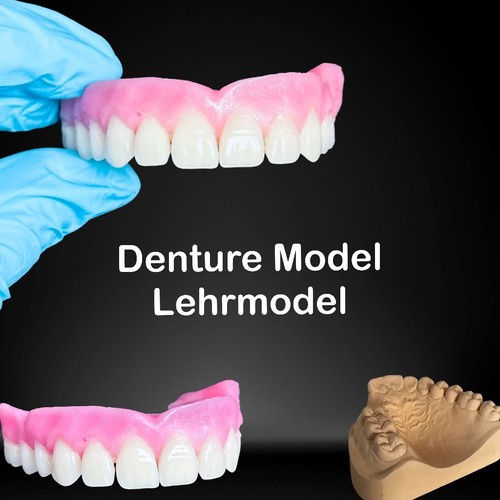 Premium diy prothèses modèle - premium,