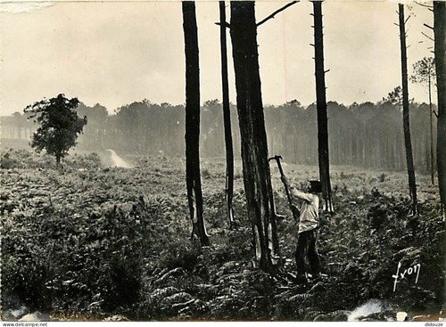 Carte postale landes - carte,