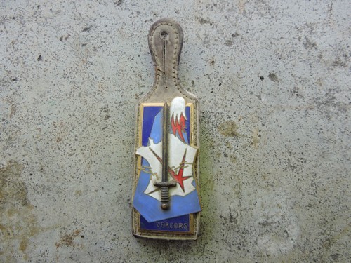 Insigne esm saint cyr - esm, saint-cyr