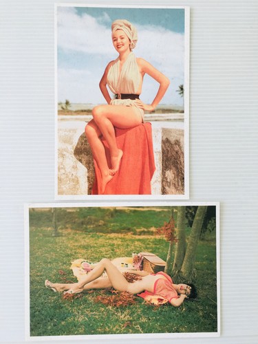 Lot cartes postales bunny - lot,