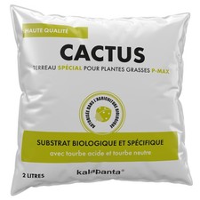 Terreau Cactus, Plantes