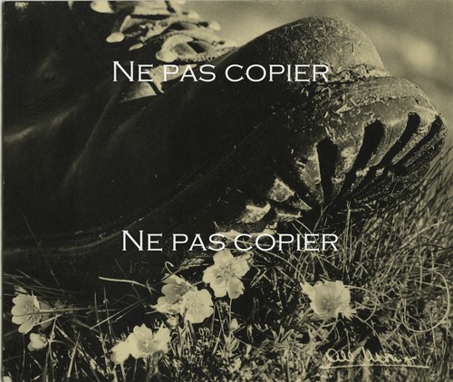 Albert monier photographie - monier,