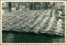 Espagne, Santander, Le Marché aux poissons, 1955  Vintage silver print.  Tirag