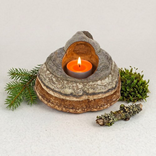 Bougeoir champignon - bougeoir,